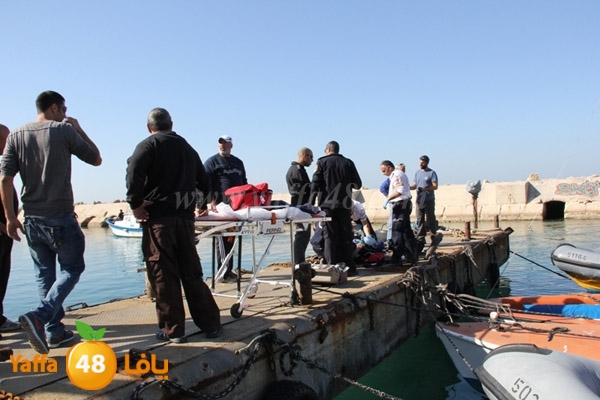 die sea 12221 (9).JPG